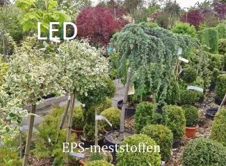 Topf- und Beetpflanzen unter LED-Licht