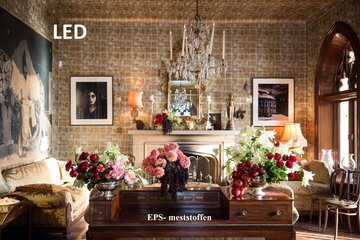Zimmerpflanzen unter LED-Licht